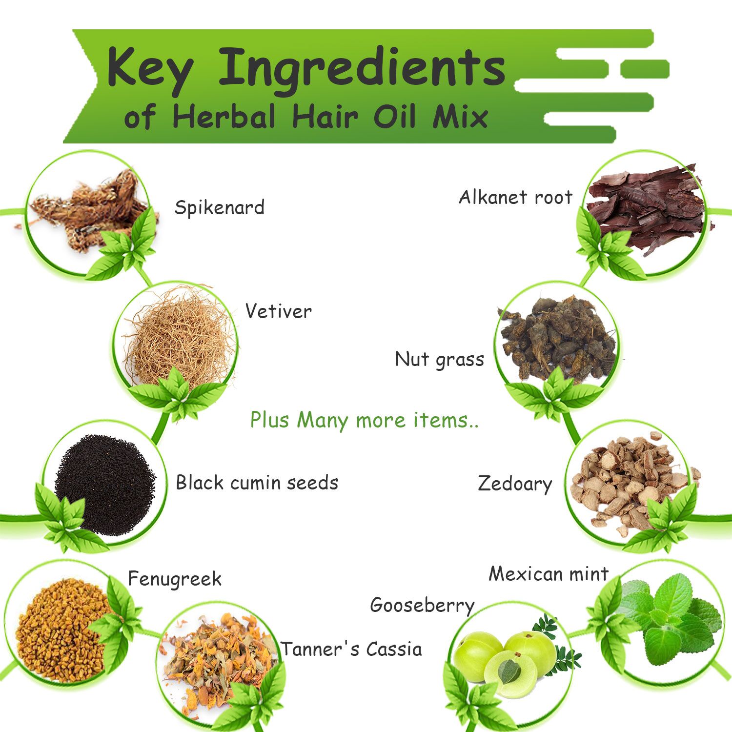 Ingredients-of-herbal-hair-oil-mix
